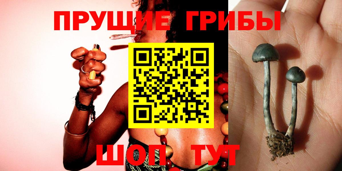 Туапсе  Галлюциногенные грибы MAGIC MUSHROOMS  Вход с VPN 